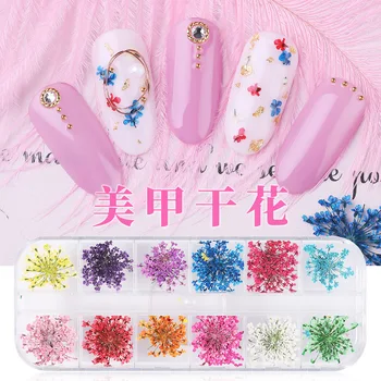 3D Мини Стикер за нокти със Сушени Цветя за дизайн на Ноктите, 12 цветни стикери за нокти, 24 Сухи Цветя Листенце, кутии за бижута за нокти, Суха Цвете